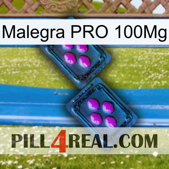 Malegra PRO 100Mg 03.jpg